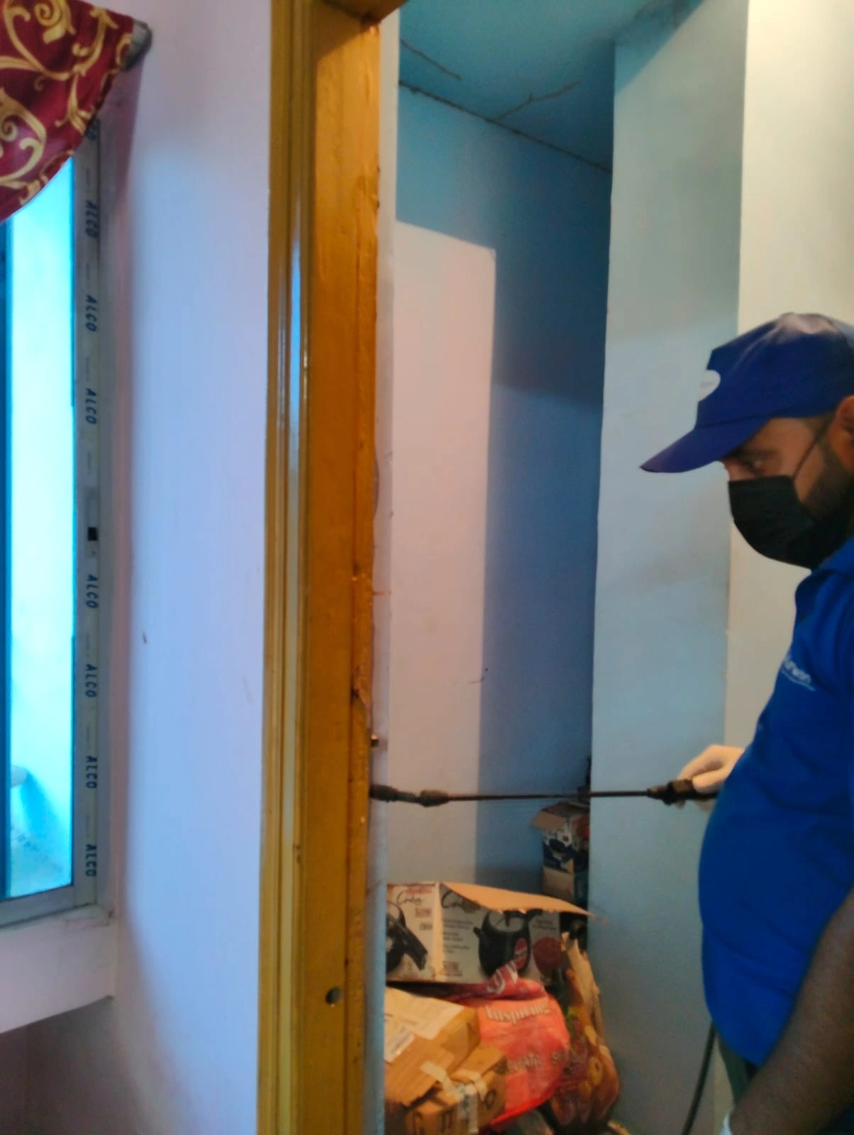 Technician applying termite treatment chemical to wooden surface to eliminate termites in residential home